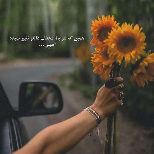 موزیک جدید رد رد رد دد ریمیکس خارجی