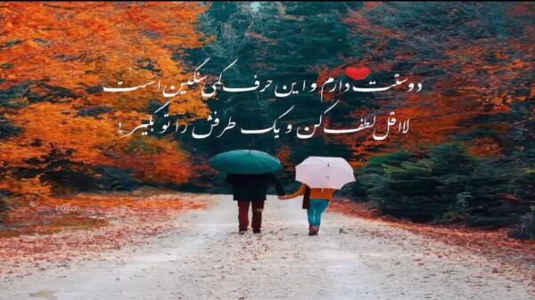 دانلود آهنگ خارجی برای کلیپ عروسی (فرمالیته لاکچری اسپرت)