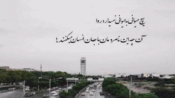 دانلود آهنگ خارجی با صدای زن (احساسی عاشقانه شاد) برای ماشین
