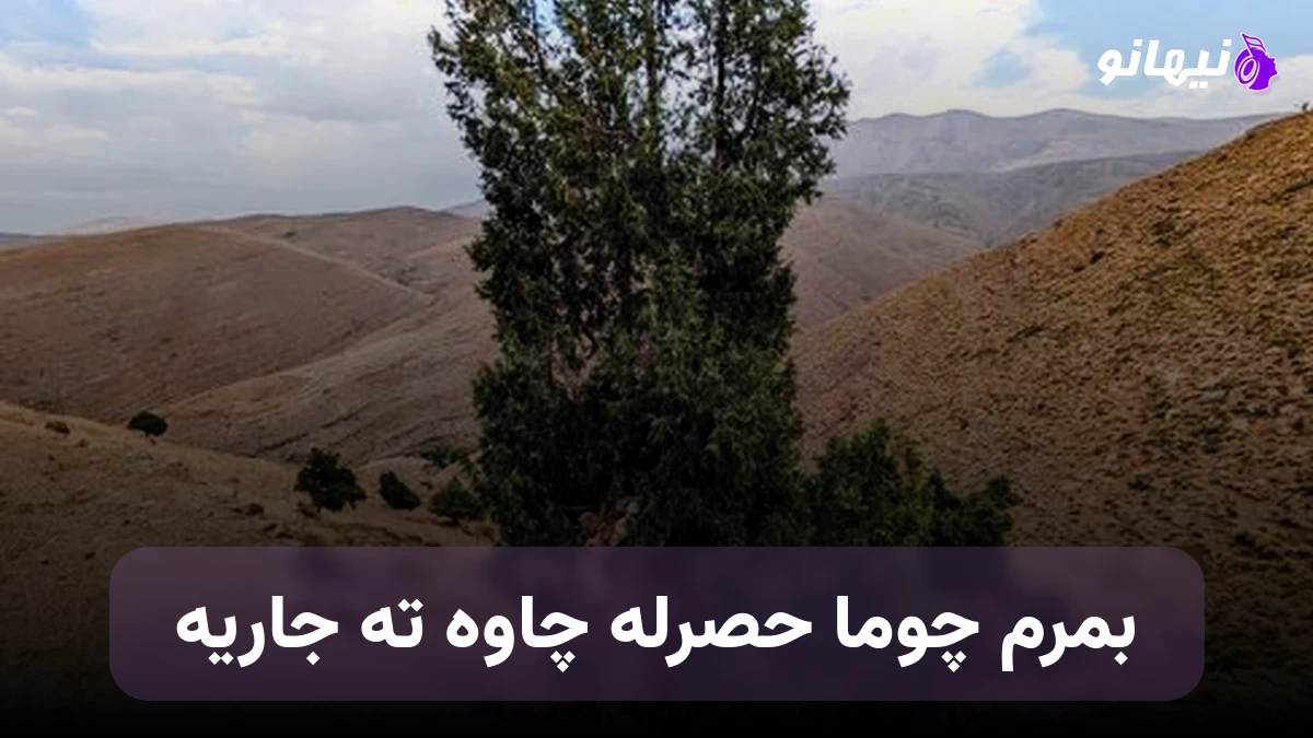 دانلود آهنگ بمرم چوما حصرله چاوه ته جاریه 