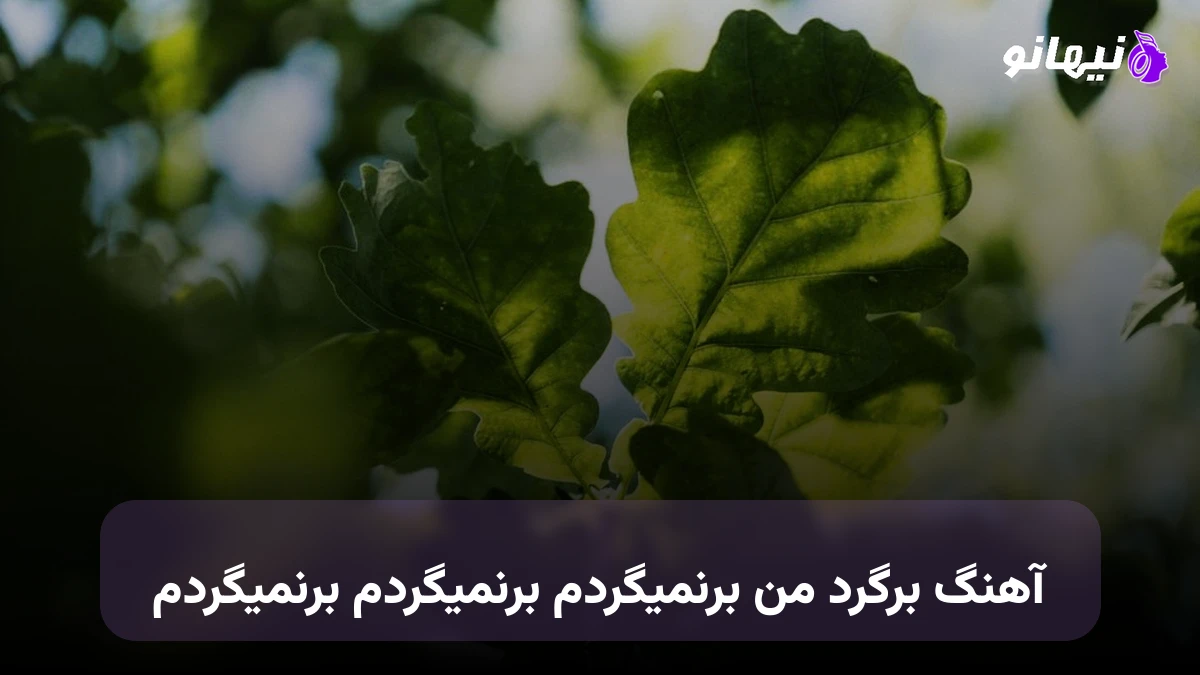 دانلود آهنگ برگرد من برنمیگردم برنمیگردم صدای زن