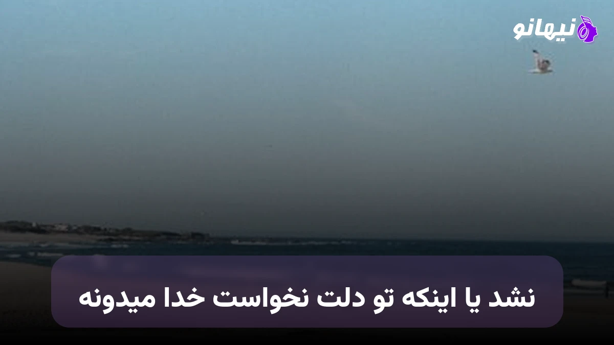 دانلود آهنگ نشد یا اینکه تو دلت نخواست خدا میدونه نسخه کامل