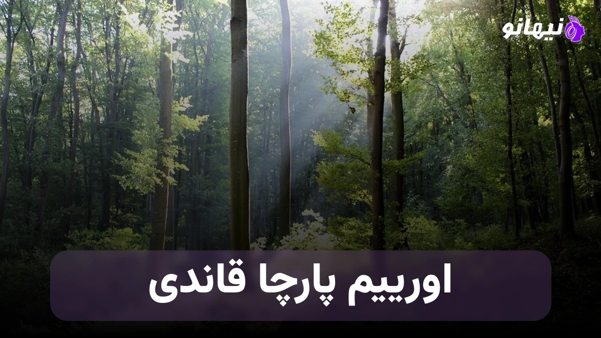 دانلود آهنگ اورییم پارچا قاندی ترکی