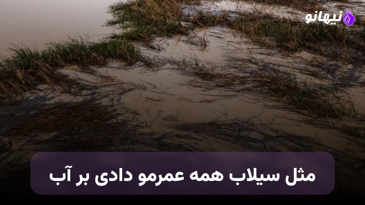 دانلود آهنگ سهراب ابوترابی سیلاب , مثل سیلاب همه عمرمو دادی بر آب 