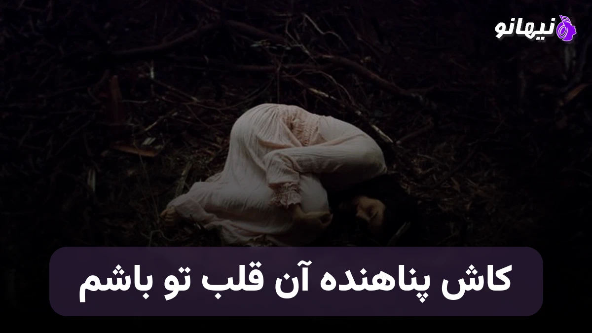 دانلود آهنگ کاش پناهنده آن قلب تو باشم مرگ من است روزی که کنارت نباشم